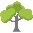 Kokomo Tree Trimming