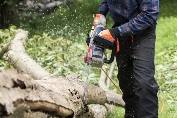 Branch Removal Service in Kokomo