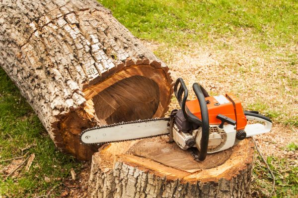 Tree Cutting Service in Kokomo