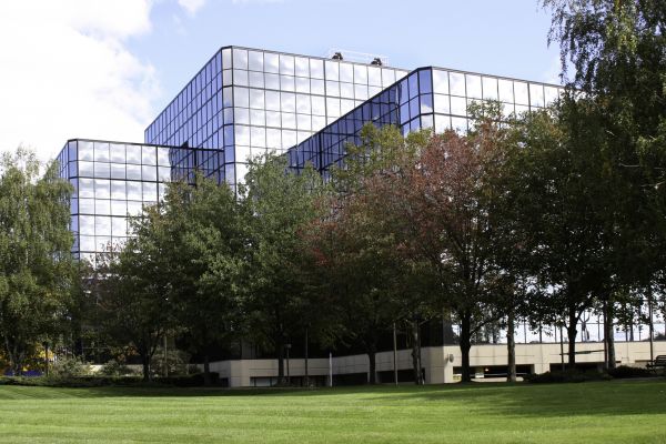 Commercial Tree Trimming in Kokomo
