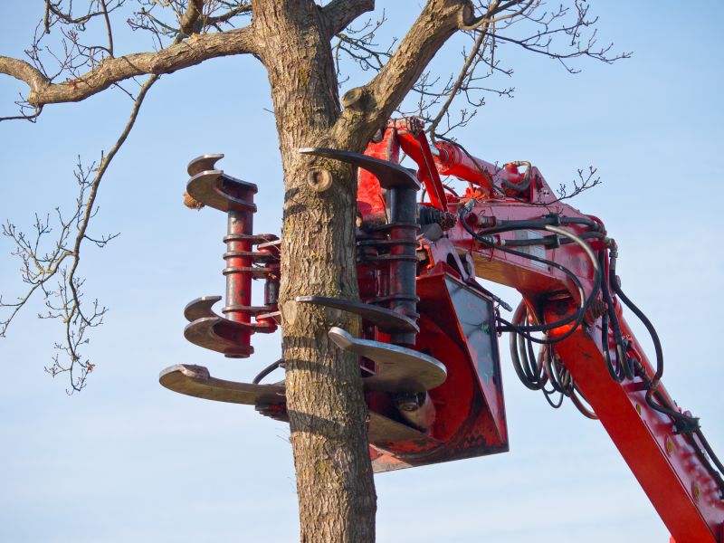 Tree Removal Equipment