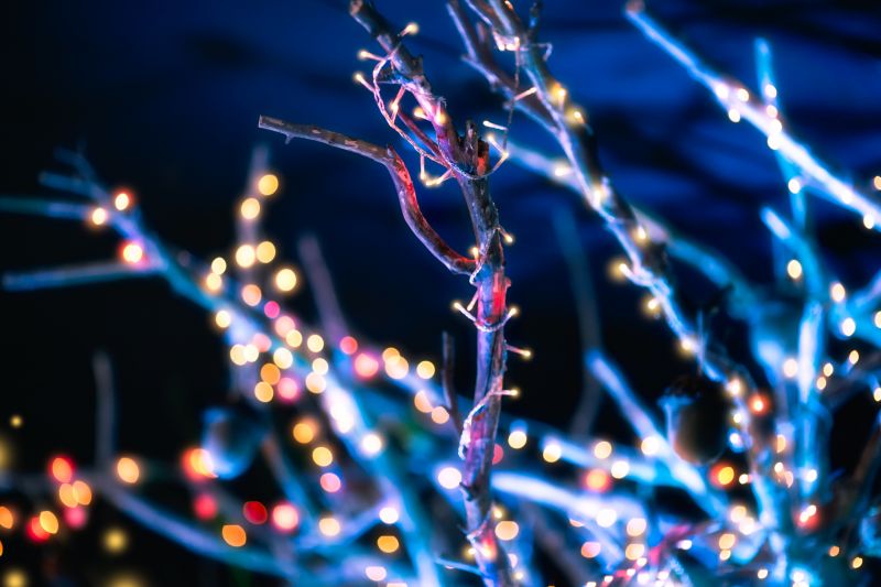 Holiday Tree Decorations